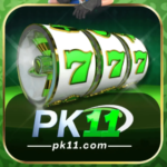 PK11 Game
